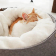 Gemütliches Haustierbett für Katzen und kleine Hunde